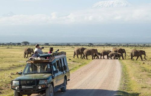 Amboseli National Park