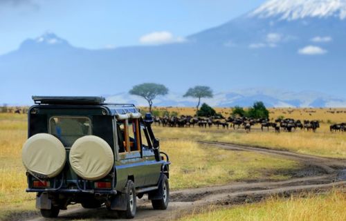 Best Destinations for Car Rental Exploration in Kenya