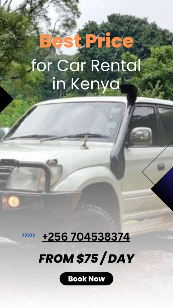 4x4 Car Rental Kenya Cheap Car Hire Kenya Deals in Nairobi