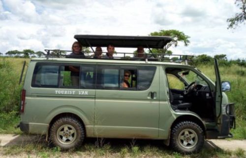 Safari Vans