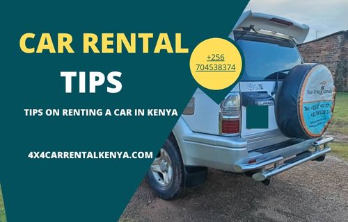 Tips on Renting a Car in Kenya
