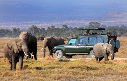 Masai Mara Car Rental