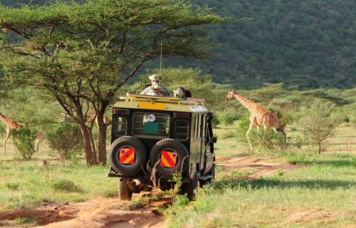 Best Time to Visit Kenya