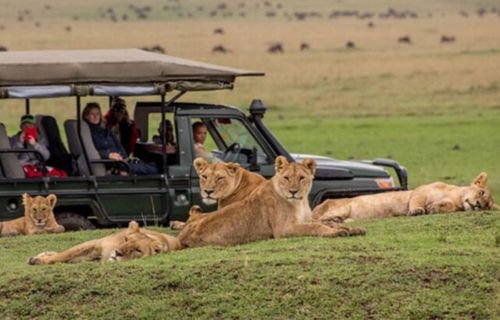 Masai Mara National Reserve