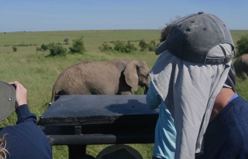 game drive in Masai Mara 