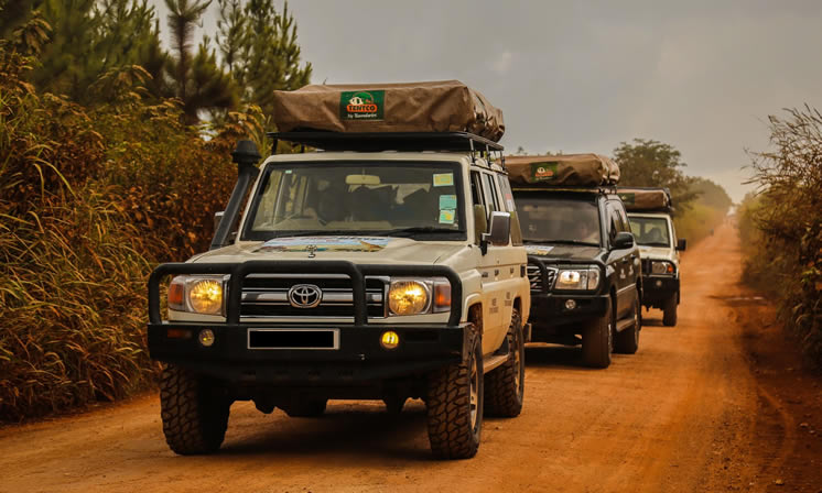 Why 4x4 Rentals Are Essential